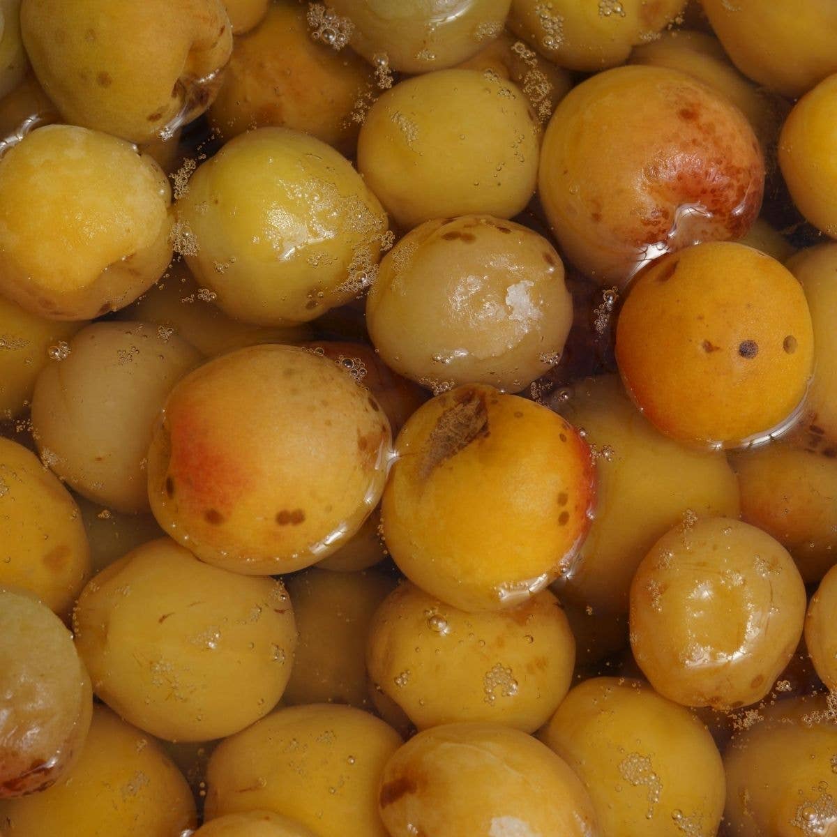 Organic Nanko Umeboshi — Wakayama, 3.52 oz