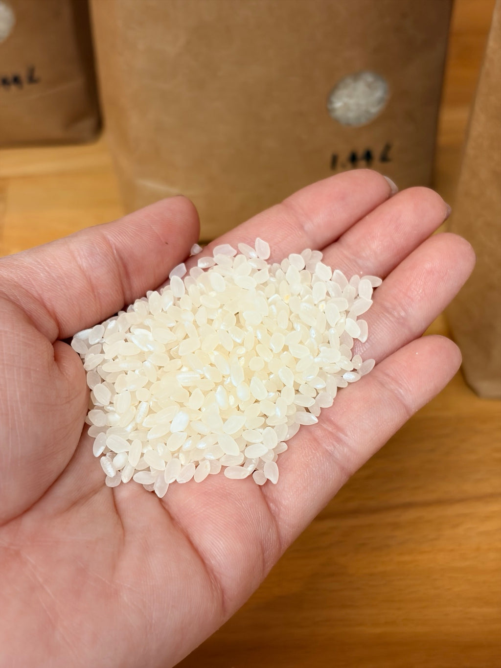 Close-up of Japanese short-grain Niigata rice