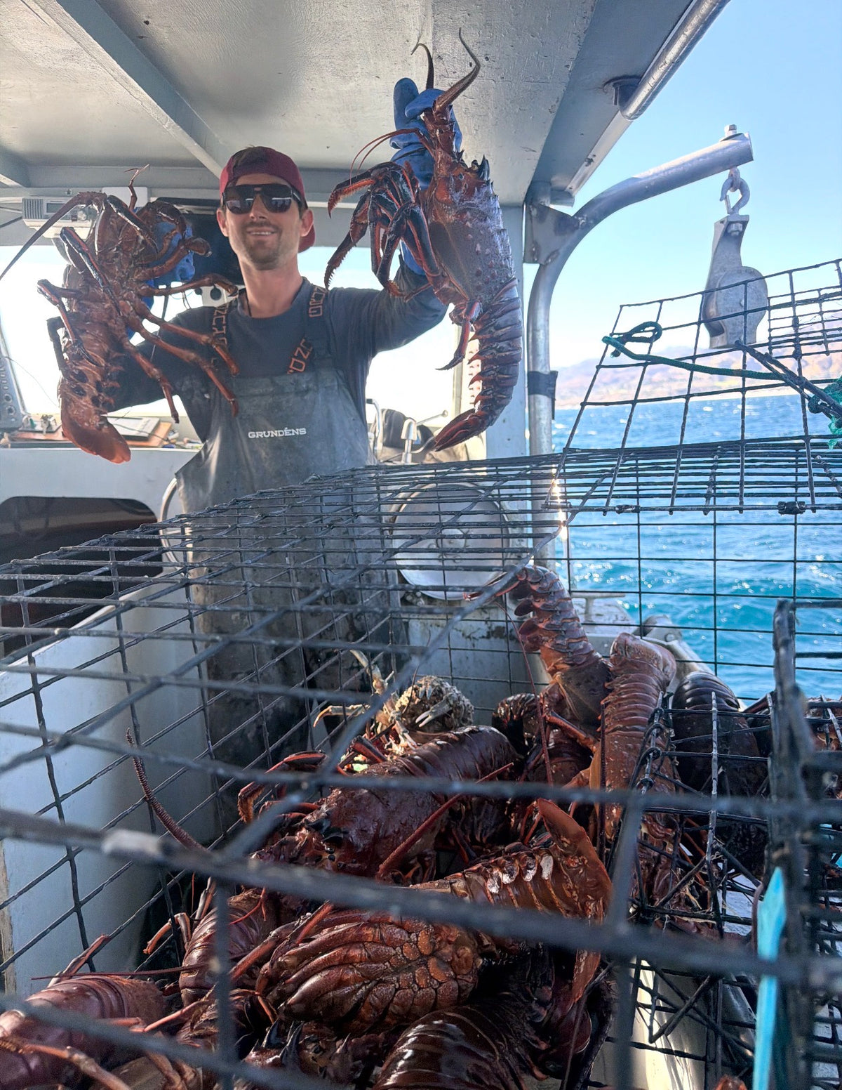 Malibu live spiny lobsters aboard a fishing boat